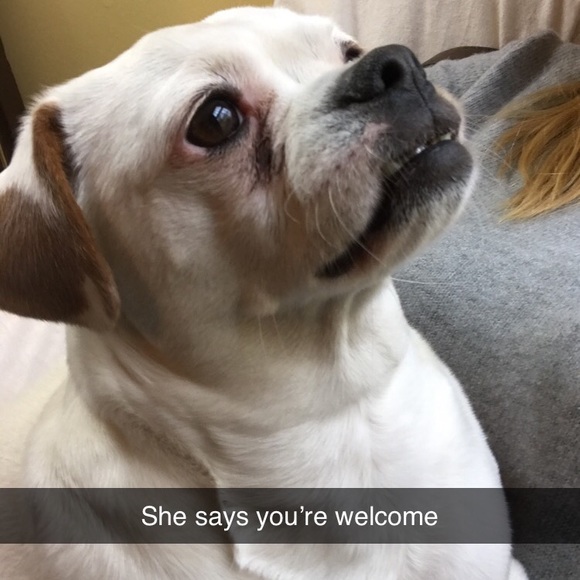 Meet your Posher, Kaitlin - Picture 2 of 2